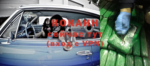 гашик Магас