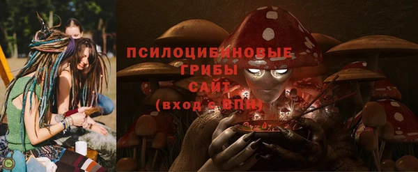 гашик Магас