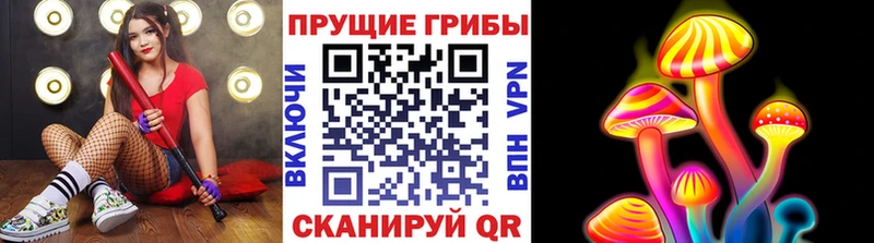 Галлюциногенные грибы Magic Shrooms Купить Михайловск