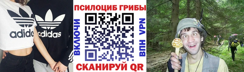 Псилоцибиновые грибы ЛСД Михайловск